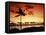 Sunset at Anaehoomalu Bay-James Randklev-Framed Premier Image Canvas