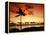 Sunset at Anaehoomalu Bay-James Randklev-Framed Premier Image Canvas