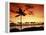 Sunset at Anaehoomalu Bay-James Randklev-Framed Premier Image Canvas