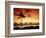 Sunset at Anaehoomalu Bay-James Randklev-Framed Photographic Print