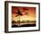 Sunset at Anaehoomalu Bay-James Randklev-Framed Photographic Print