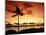 Sunset at Anaehoomalu Bay-James Randklev-Mounted Photographic Print