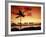 Sunset at Anaehoomalu Bay-James Randklev-Framed Photographic Print