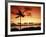 Sunset at Anaehoomalu Bay-James Randklev-Framed Photographic Print