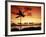 Sunset at Anaehoomalu Bay-James Randklev-Framed Photographic Print