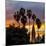 Sunset at Balboa Park in San Diego, Ca-Andrew Shoemaker-Mounted Photographic Print