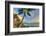 Sunset at beach, Wailea, Maui, Hawaii, USA-Stuart Westmorland-Framed Photographic Print