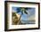 Sunset at beach, Wailea, Maui, Hawaii, USA-Stuart Westmorland-Framed Photographic Print