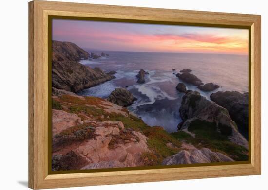 Sunset at Bodega Head-Vincent James-Framed Premier Image Canvas