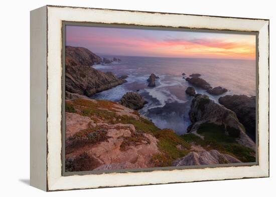 Sunset at Bodega Head-Vincent James-Framed Premier Image Canvas