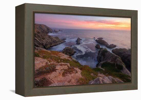 Sunset at Bodega Head-Vincent James-Framed Premier Image Canvas