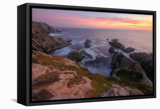 Sunset at Bodega Head-Vincent James-Framed Premier Image Canvas