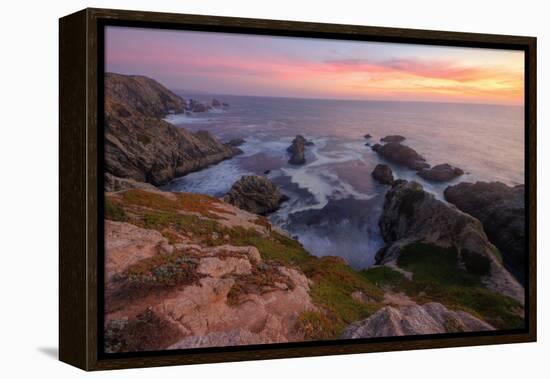 Sunset at Bodega Head-Vincent James-Framed Premier Image Canvas