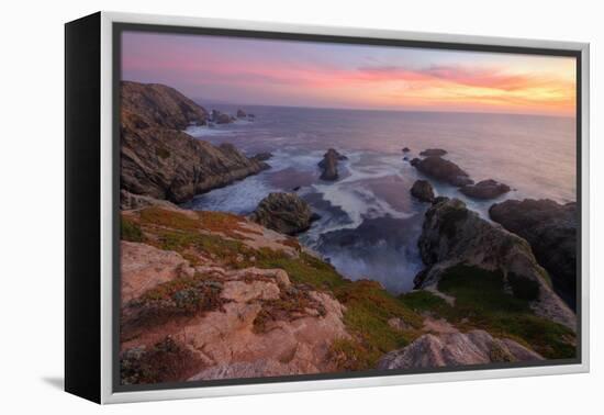 Sunset at Bodega Head-Vincent James-Framed Premier Image Canvas