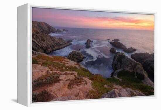 Sunset at Bodega Head-Vincent James-Framed Premier Image Canvas