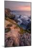 Sunset at Bodega Headlands-Vincent James-Mounted Photographic Print
