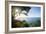 Sunset at Castara Bay in Tobago, Trinidad and Tobago, West Indies, Caribbean, Central America-Alex Treadway-Framed Photographic Print