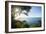 Sunset at Castara Bay in Tobago, Trinidad and Tobago, West Indies, Caribbean, Central America-Alex Treadway-Framed Photographic Print