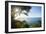 Sunset at Castara Bay in Tobago, Trinidad and Tobago, West Indies, Caribbean, Central America-Alex Treadway-Framed Photographic Print