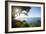 Sunset at Castara Bay in Tobago, Trinidad and Tobago, West Indies, Caribbean, Central America-Alex Treadway-Framed Photographic Print