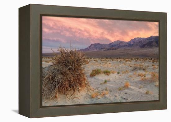 Sunset at Devil's Cornfield-Vincent James-Framed Premier Image Canvas