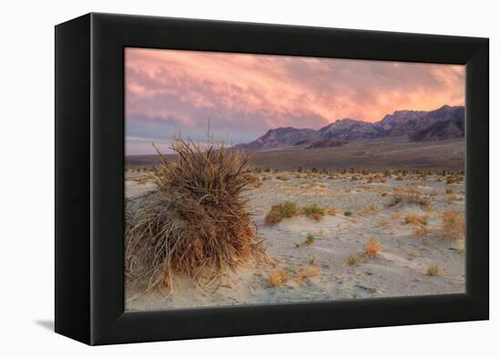 Sunset at Devil's Cornfield-Vincent James-Framed Premier Image Canvas