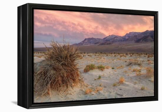 Sunset at Devil's Cornfield-Vincent James-Framed Premier Image Canvas