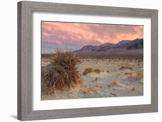 Sunset at Devil's Cornfield-Vincent James-Framed Photographic Print