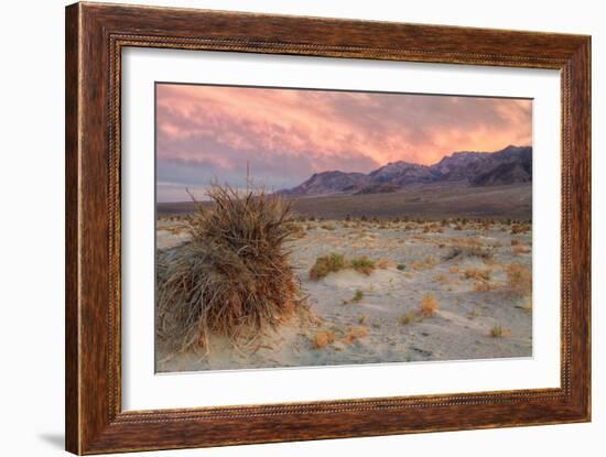 Sunset at Devil's Cornfield-Vincent James-Framed Photographic Print