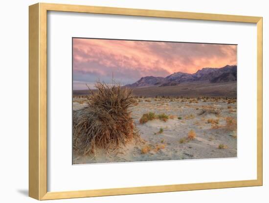 Sunset at Devil's Cornfield-Vincent James-Framed Photographic Print