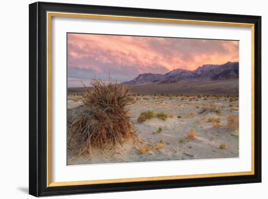 Sunset at Devil's Cornfield-Vincent James-Framed Photographic Print