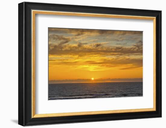Sunset at Heceta Beach, Oregon Coast, Pacific Ocean, Oregon, USA-Michel Hersen-Framed Photographic Print