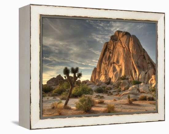 Sunset at Joshua Tree National Park in Southern California-Kyle Hammons-Framed Premier Image Canvas