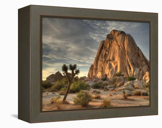 Sunset at Joshua Tree National Park in Southern California-Kyle Hammons-Framed Premier Image Canvas