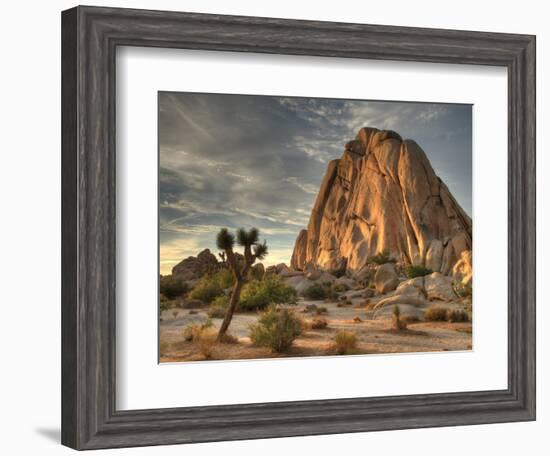 Sunset at Joshua Tree National Park in Southern California-Kyle Hammons-Framed Photographic Print