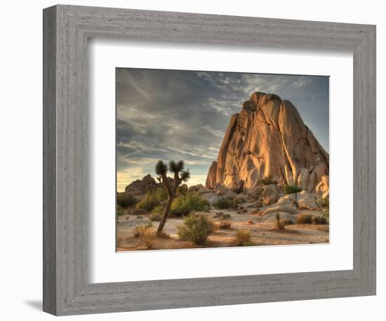 Sunset at Joshua Tree National Park in Southern California-Kyle Hammons-Framed Photographic Print