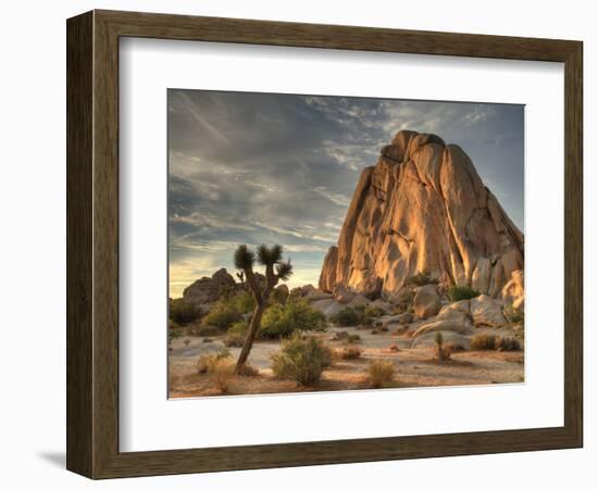 Sunset at Joshua Tree National Park in Southern California-Kyle Hammons-Framed Photographic Print