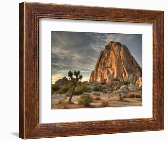 Sunset at Joshua Tree National Park in Southern California-Kyle Hammons-Framed Photographic Print