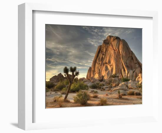 Sunset at Joshua Tree National Park in Southern California-Kyle Hammons-Framed Photographic Print