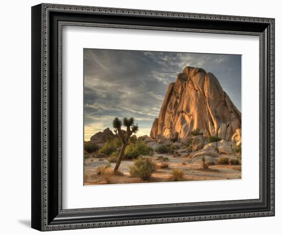 Sunset at Joshua Tree National Park in Southern California-Kyle Hammons-Framed Photographic Print