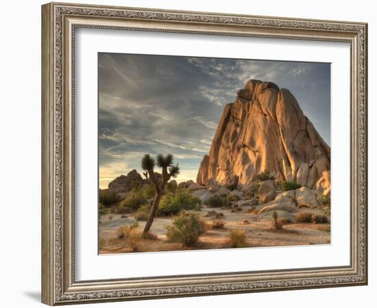 Sunset at Joshua Tree National Park in Southern California-Kyle Hammons-Framed Photographic Print