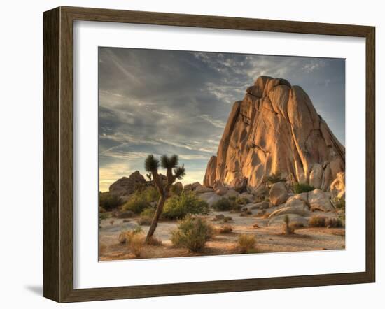 Sunset at Joshua Tree National Park in Southern California-Kyle Hammons-Framed Photographic Print