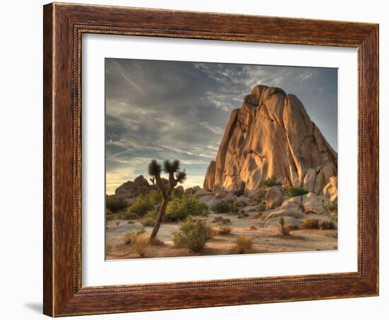 Sunset at Joshua Tree National Park in Southern California-Kyle Hammons-Framed Photographic Print