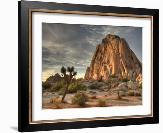 Sunset at Joshua Tree National Park in Southern California-Kyle Hammons-Framed Photographic Print