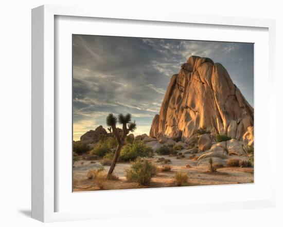 Sunset at Joshua Tree National Park in Southern California-Kyle Hammons-Framed Photographic Print