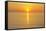 Sunset at Lake Constance, Lindau, Baden Wurttemberg, Germany-Raimund Linke-Framed Stretched Canvas