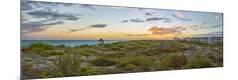 Premium Photographic Print