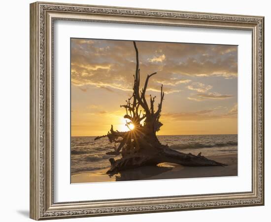 Sunset at Lovers Key State Park, Florida-Maresa Pryor-Framed Photographic Print