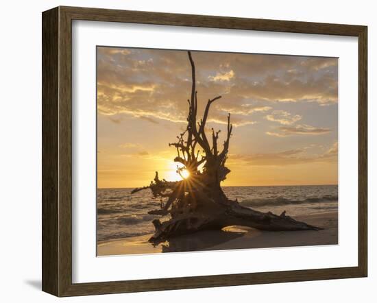 Sunset at Lovers Key State Park, Florida-Maresa Pryor-Framed Photographic Print