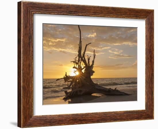 Sunset at Lovers Key State Park, Florida-Maresa Pryor-Framed Photographic Print